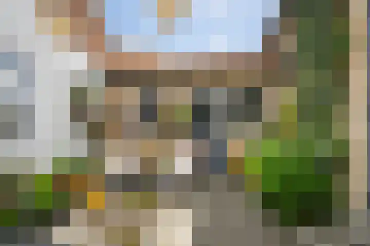 Dalemsestraat 63 Tholen thumbnail 5
