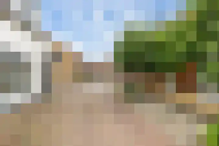 Dalemsestraat 63 Tholen thumbnail 7
