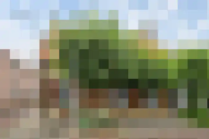 Dalemsestraat 63 Tholen thumbnail 8