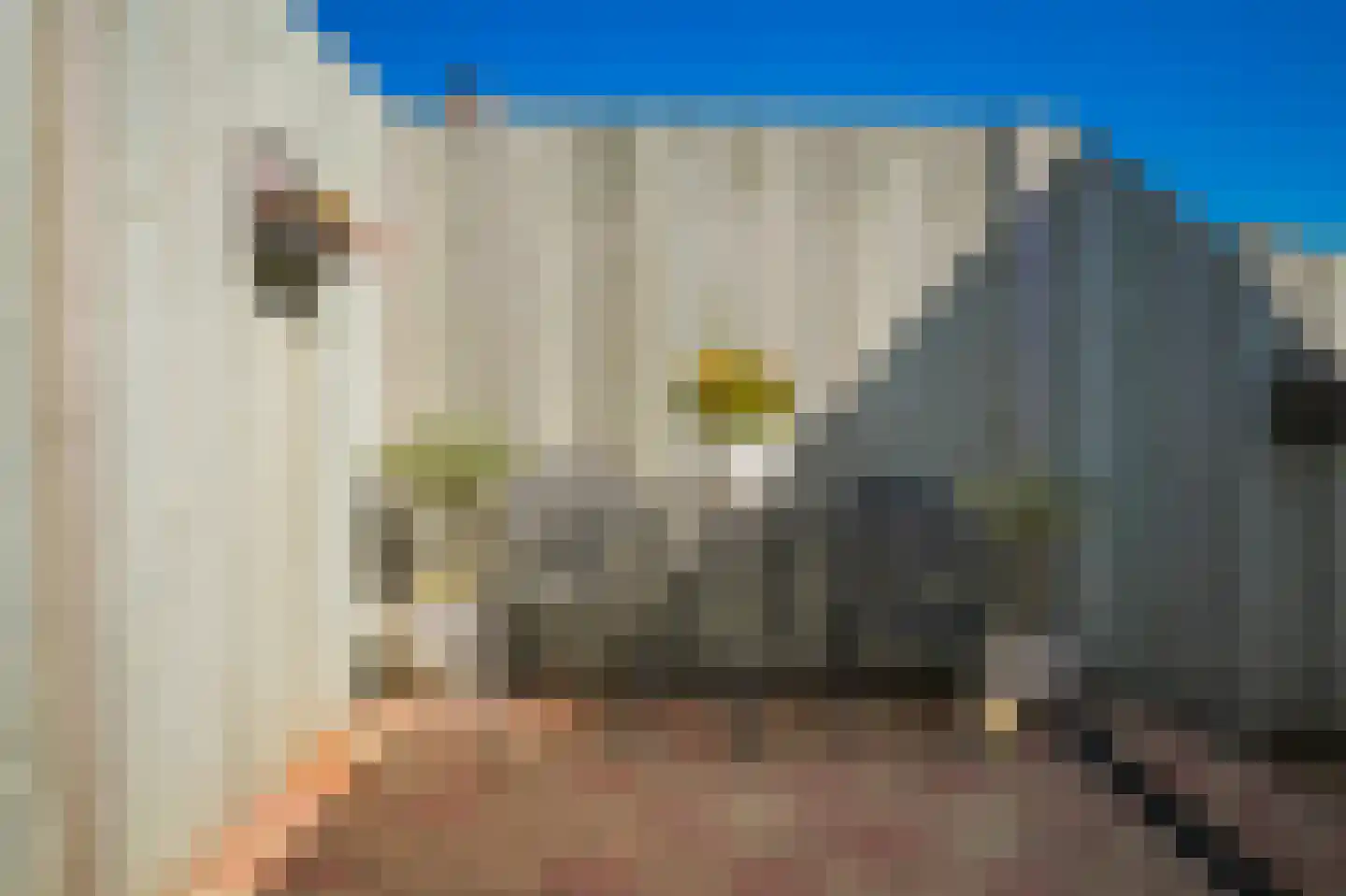 Dalemstraat 28 Kerkdriel thumbnail 27