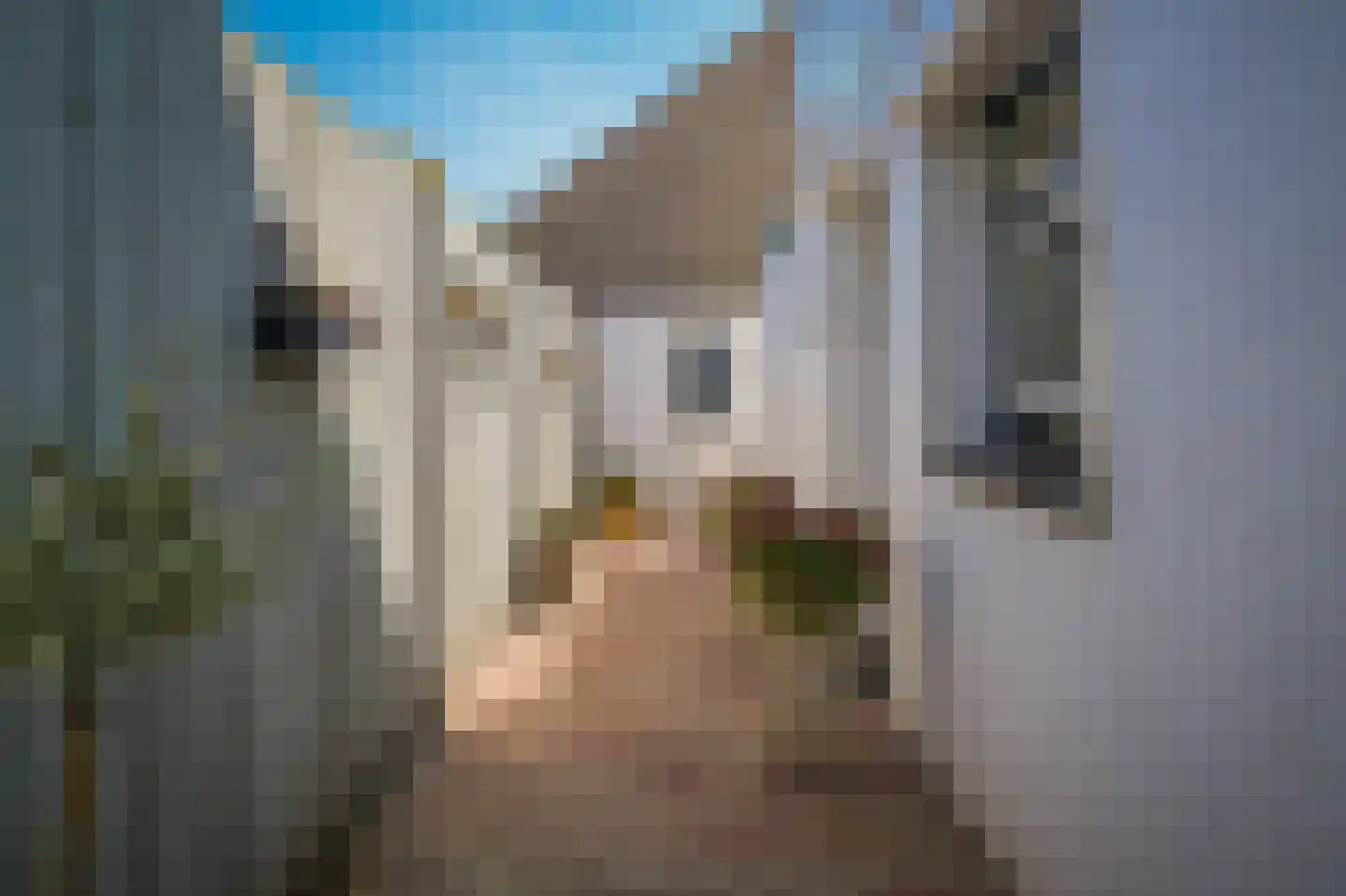 Dalemstraat 28 Kerkdriel thumbnail 28