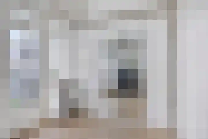 Dalenbeek 13 Beverwijk thumbnail 20