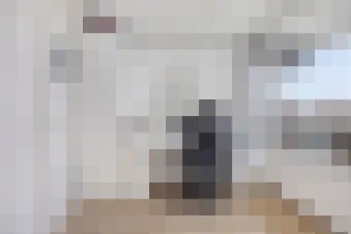 Dalenbeek 13 Beverwijk thumbnail 21