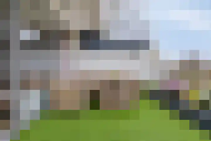 Dalenbeek 13 Beverwijk thumbnail 23