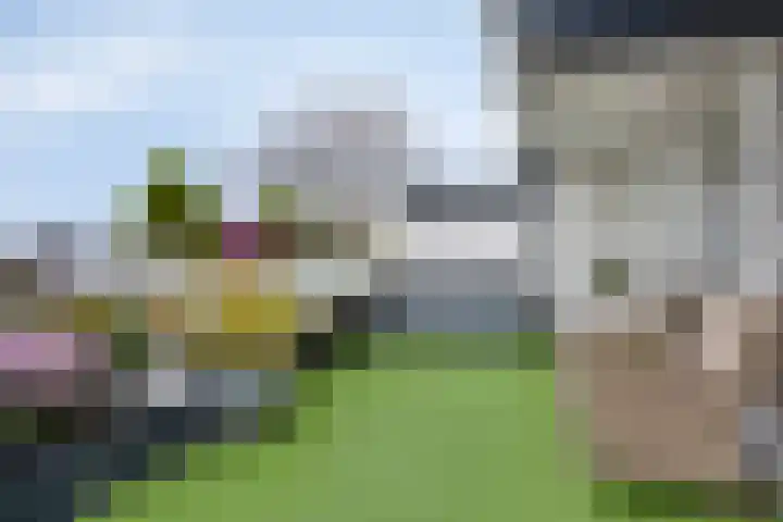 Dalenbeek 13 Beverwijk thumbnail 24