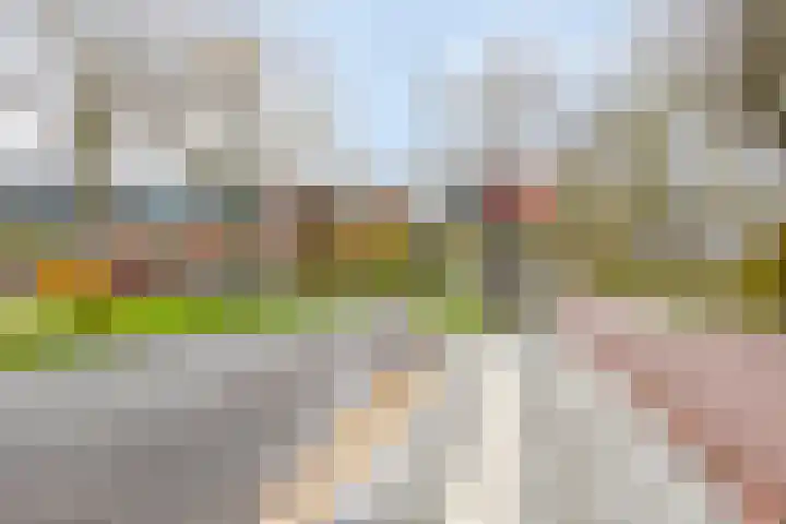 Dalenbeek 13 Beverwijk thumbnail 25