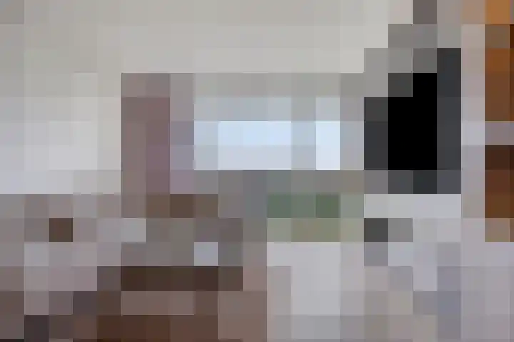 Dalenbeek 13 Beverwijk thumbnail 5
