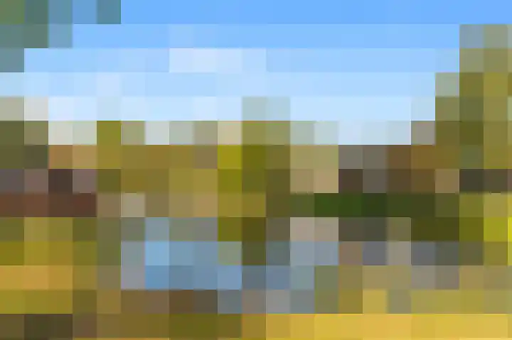 Dalenbeek 19 Beverwijk thumbnail 40