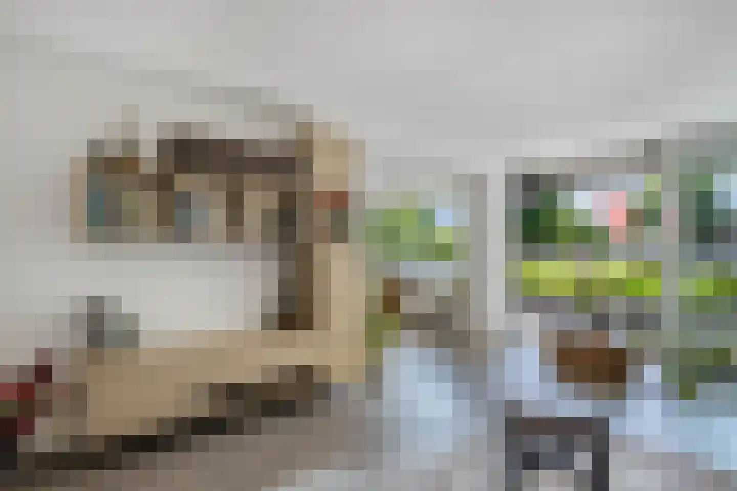 Dalenbeek 2 Beverwijk thumbnail 12
