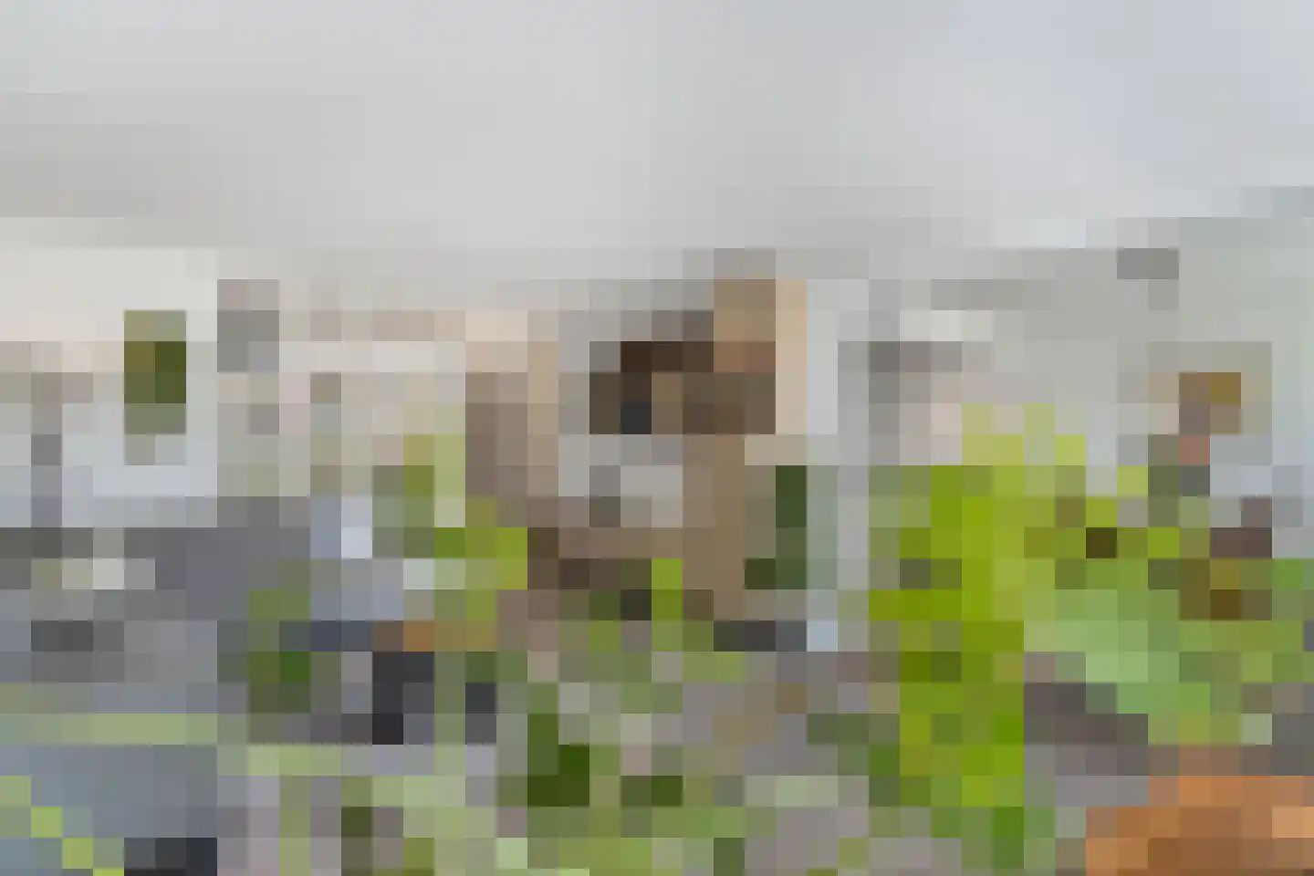 Dalenbeek 2 Beverwijk thumbnail 14