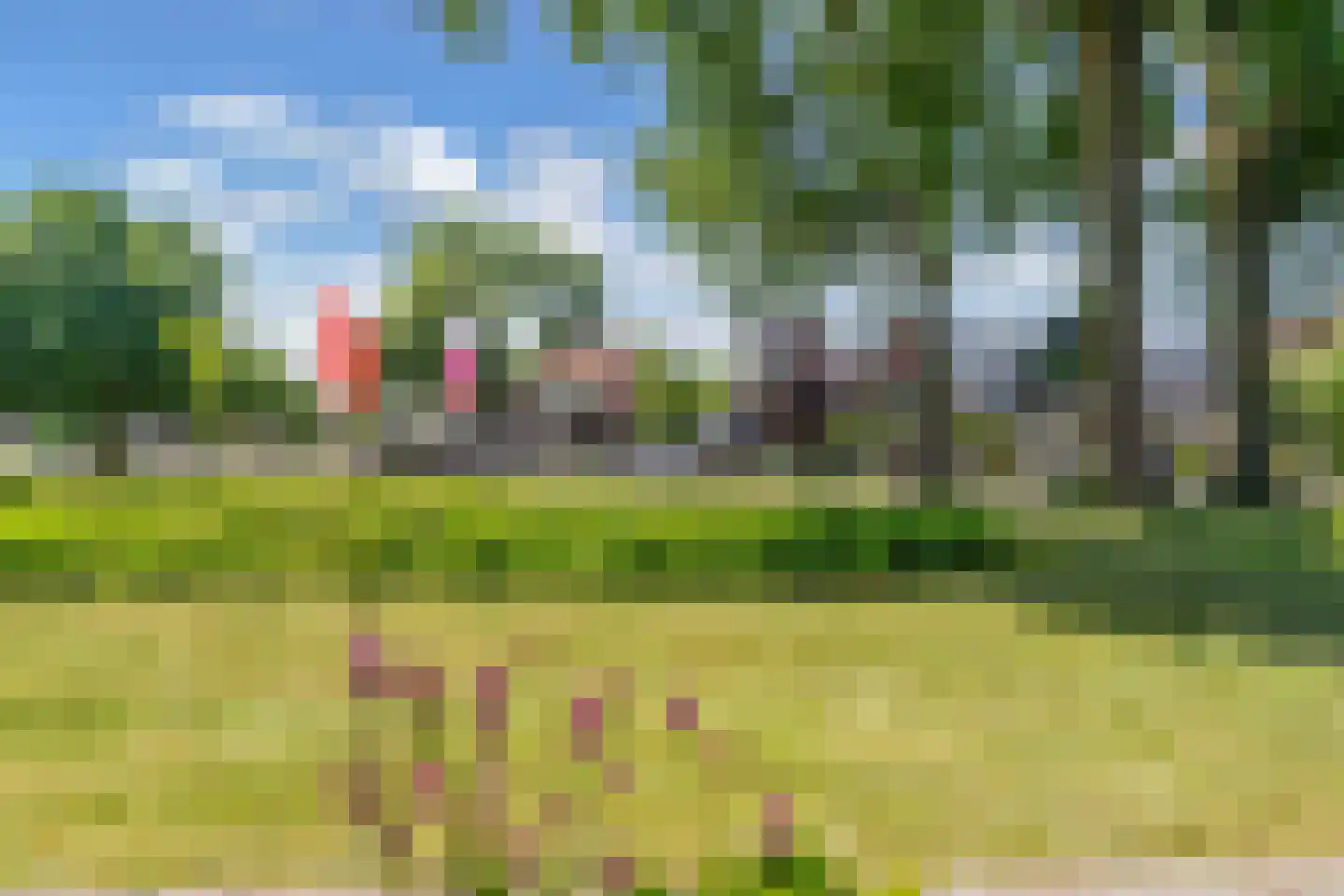 Dalenbeek 2 Beverwijk thumbnail 17