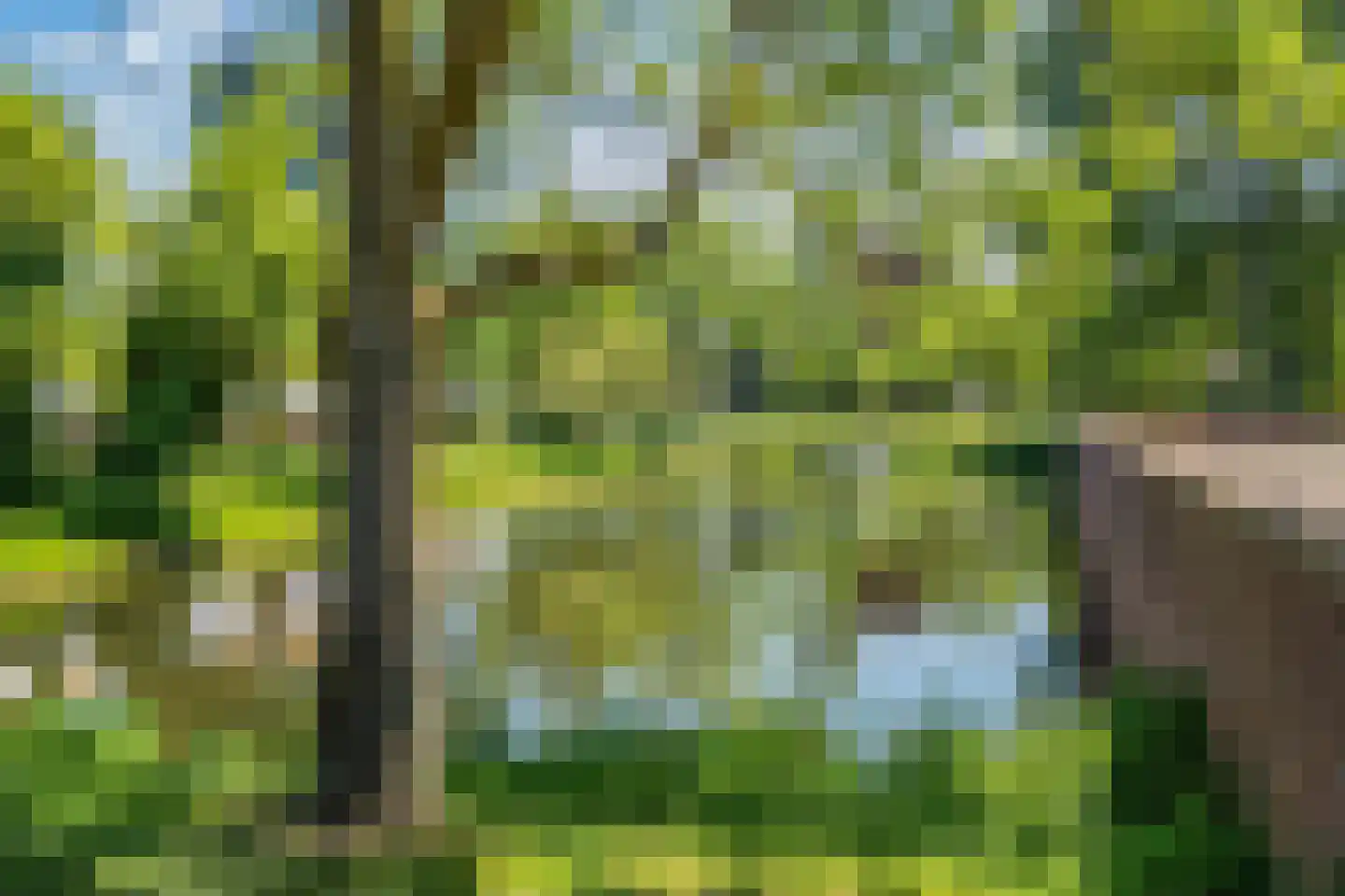 Dalenbeek 2 Beverwijk thumbnail 47