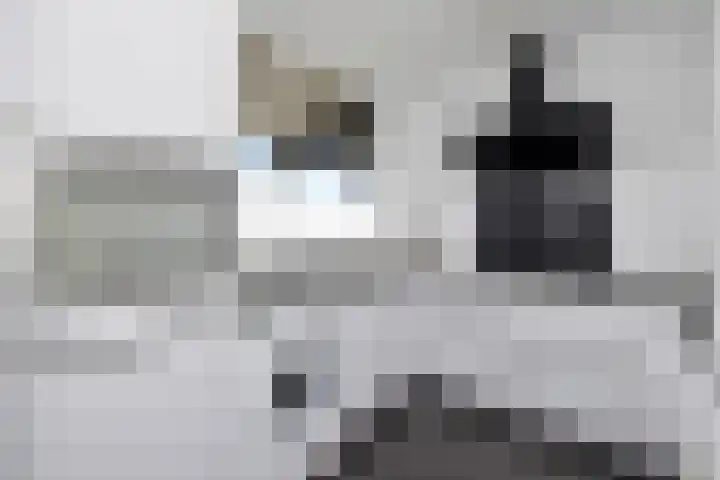 Dalenbeek 25 Beverwijk thumbnail 17