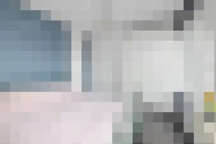 Dalenbeek 25 Beverwijk thumbnail 21
