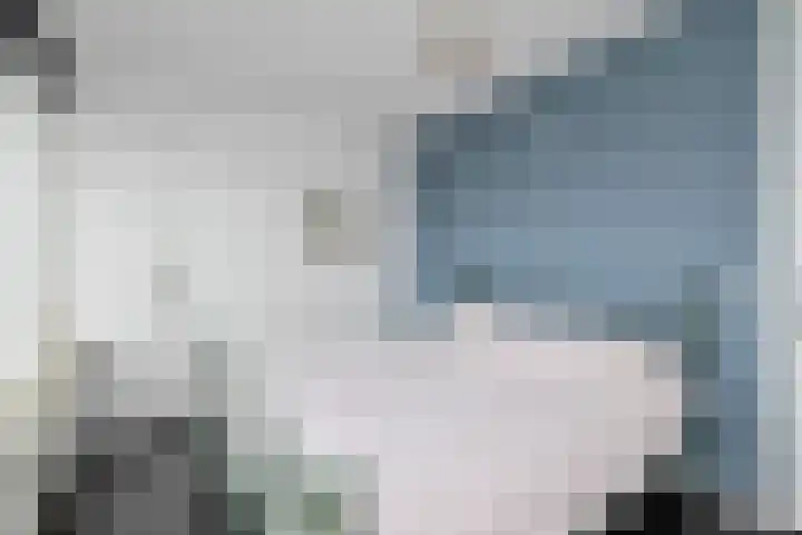 Dalenbeek 25 Beverwijk thumbnail 22