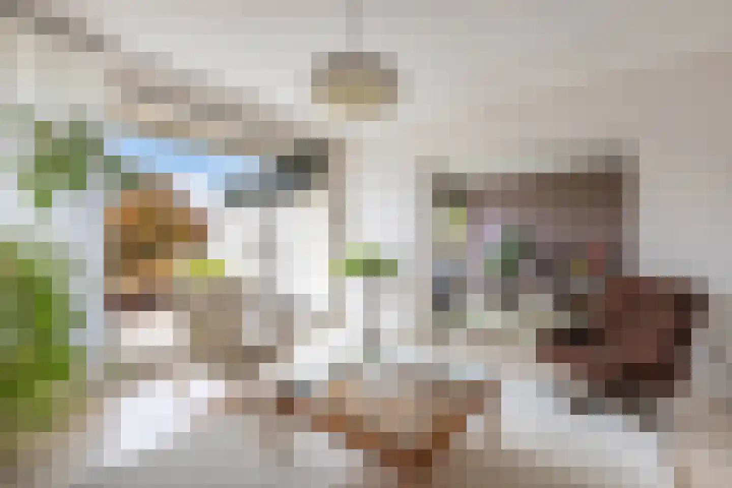 Dalenbeek 4 Beverwijk thumbnail 21