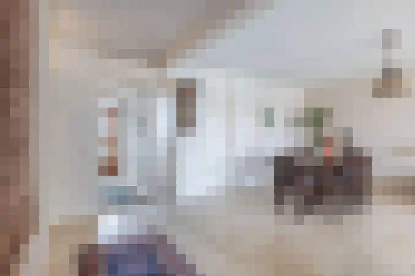 Dalenbeek 4 Beverwijk thumbnail 23