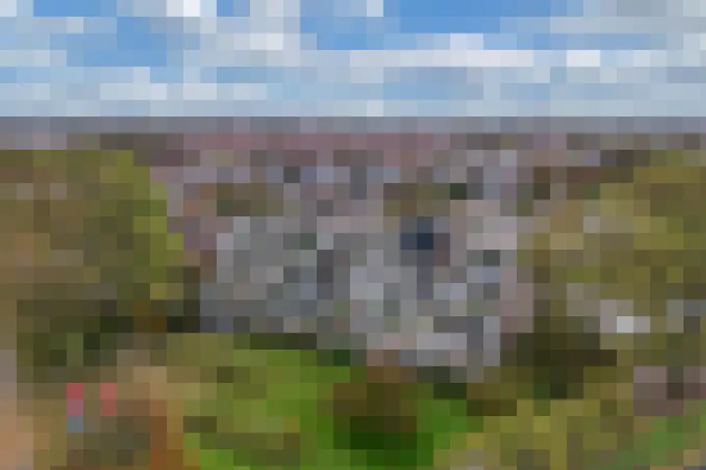 Dalenbeek 4 Beverwijk thumbnail 5