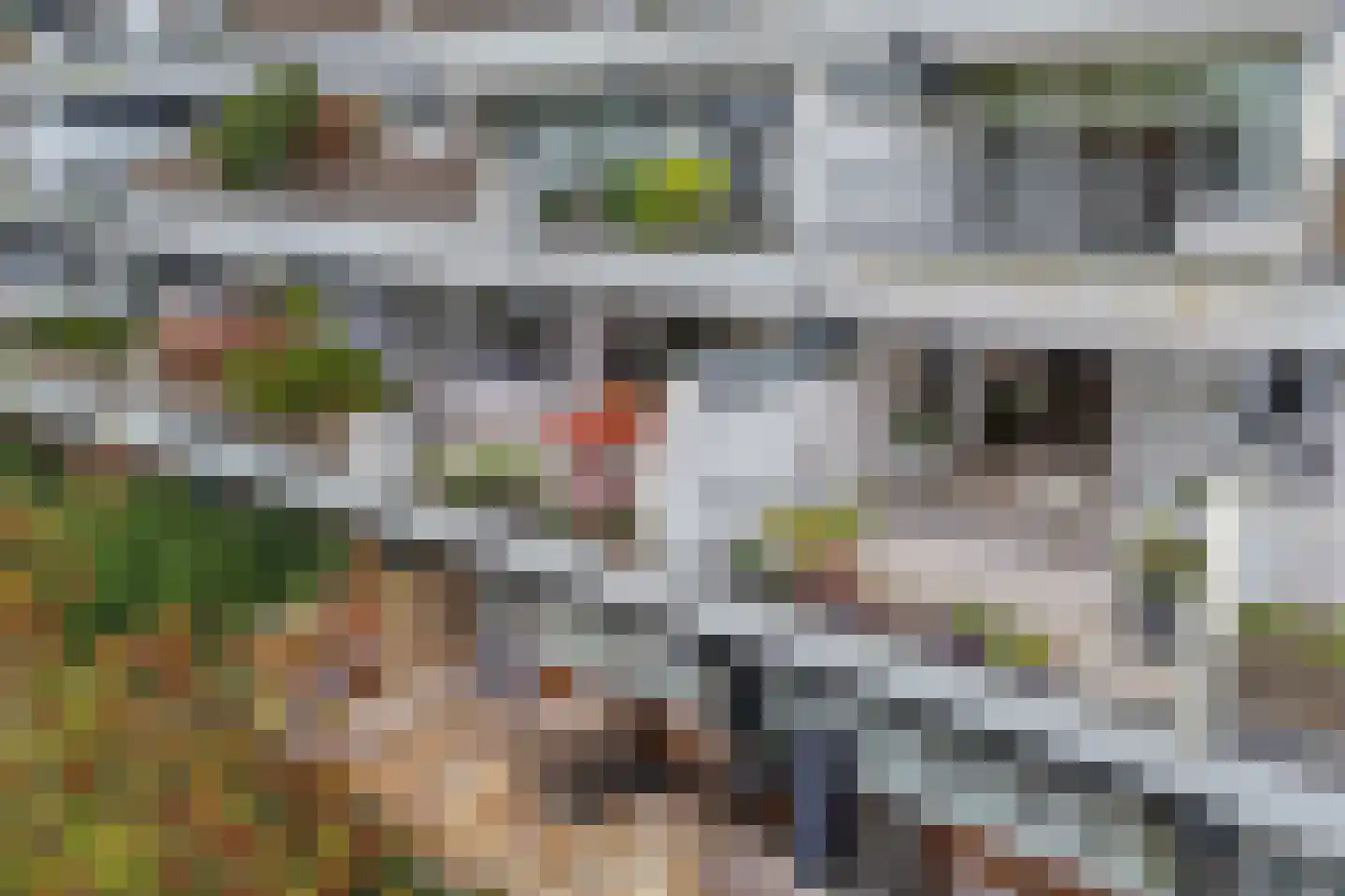 Dalenbeek 4 Beverwijk thumbnail 7