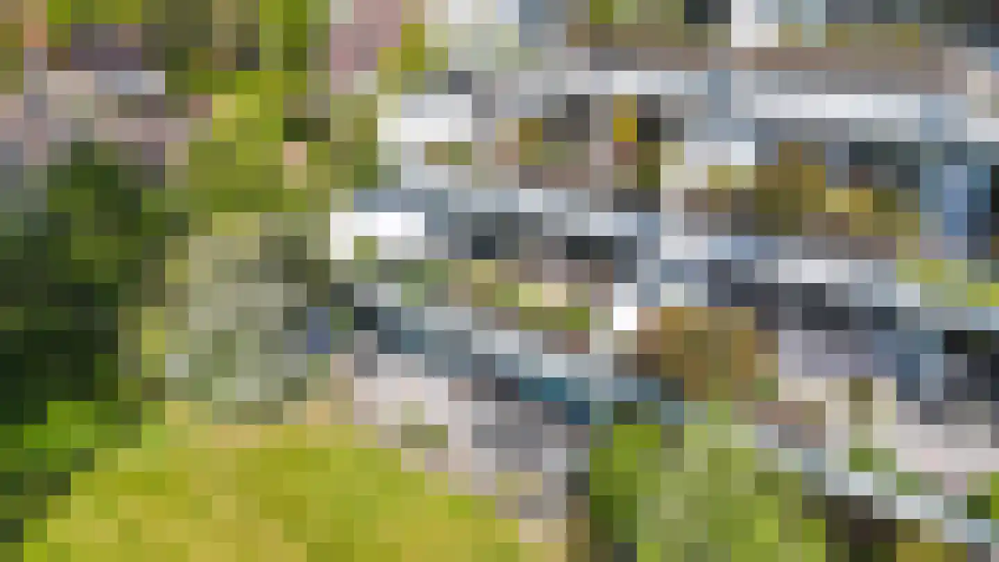 Dalenbeek 7 Beverwijk thumbnail 49