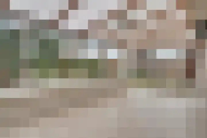 Dalenbosweg 24 Heel thumbnail 18