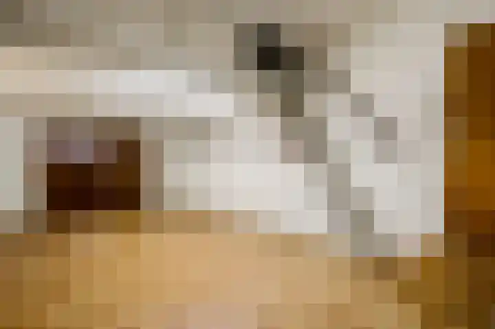 Dalenbosweg 24 Heel thumbnail 31