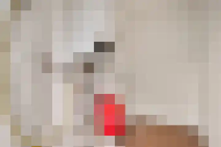 Dalenbosweg 24 Heel thumbnail 35