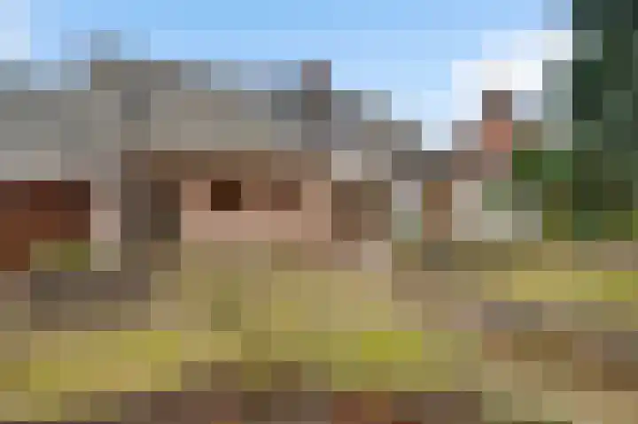 Dalenbosweg 24 Heel thumbnail 39