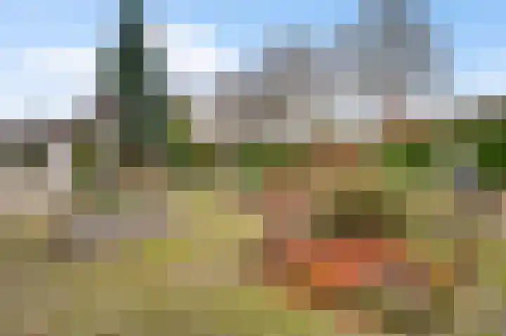 Dalenbosweg 24 Heel thumbnail 4