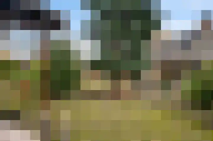 Dalenbosweg 24 Heel thumbnail 41