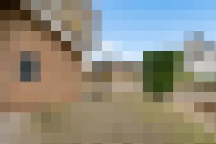 Dalenbosweg 24 Heel thumbnail 42