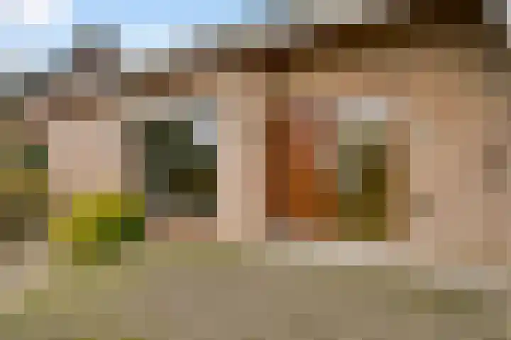 Dalenbosweg 24 Heel thumbnail 43