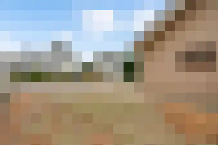 Dalenbosweg 24 Heel thumbnail 44