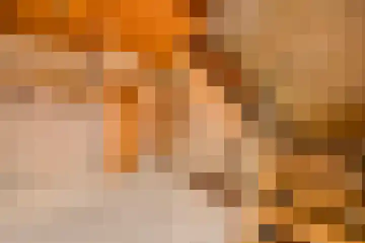 Dalenbosweg 24 Heel thumbnail 5