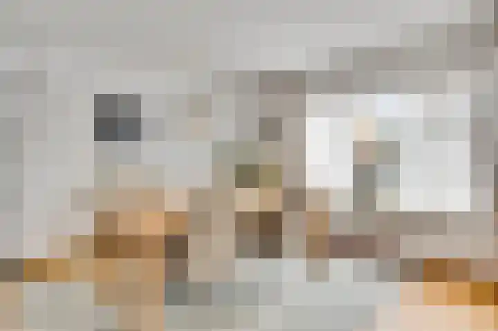 Dalenbosweg 27 Heel thumbnail 13