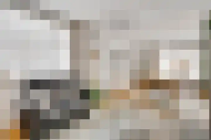 Dalenbosweg 27 Heel thumbnail 18