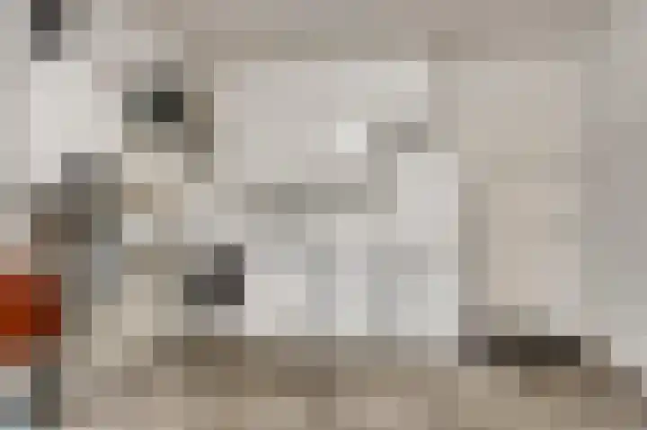 Dalenbosweg 27 Heel thumbnail 26