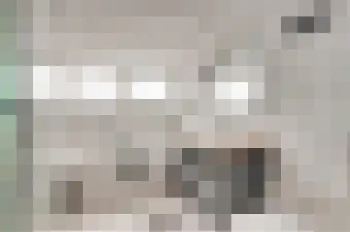 Dalenbosweg 27 Heel thumbnail 33