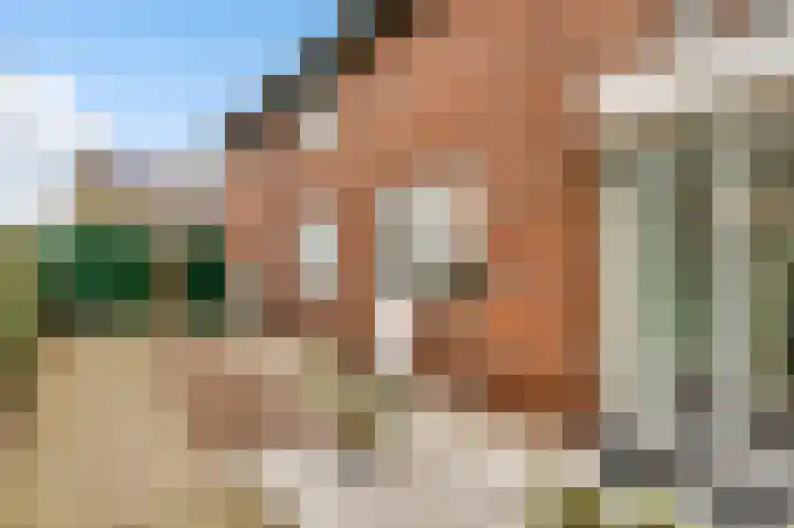 Dalenbosweg 27 Heel thumbnail 42