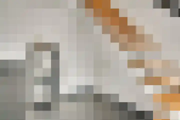 Dalenbosweg 27 Heel thumbnail 7