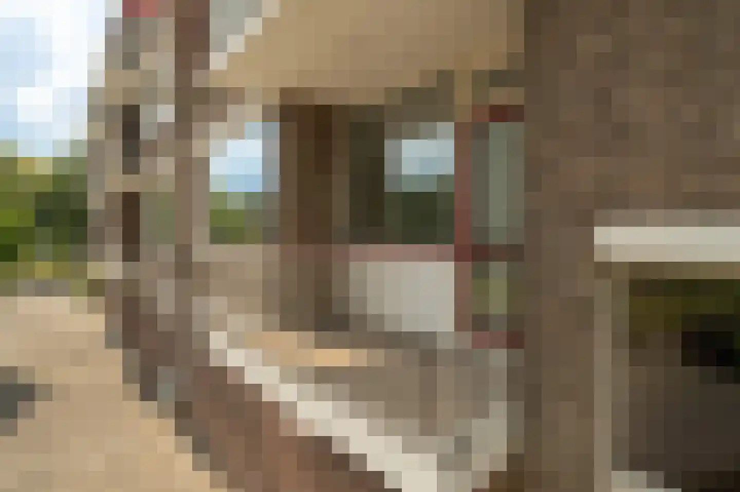 Dalenoord 103 Rotterdam thumbnail 12