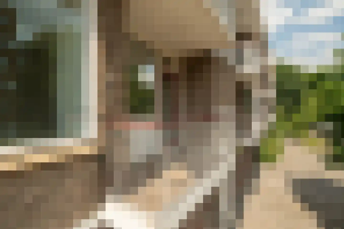 Dalenoord 103 Rotterdam thumbnail 13