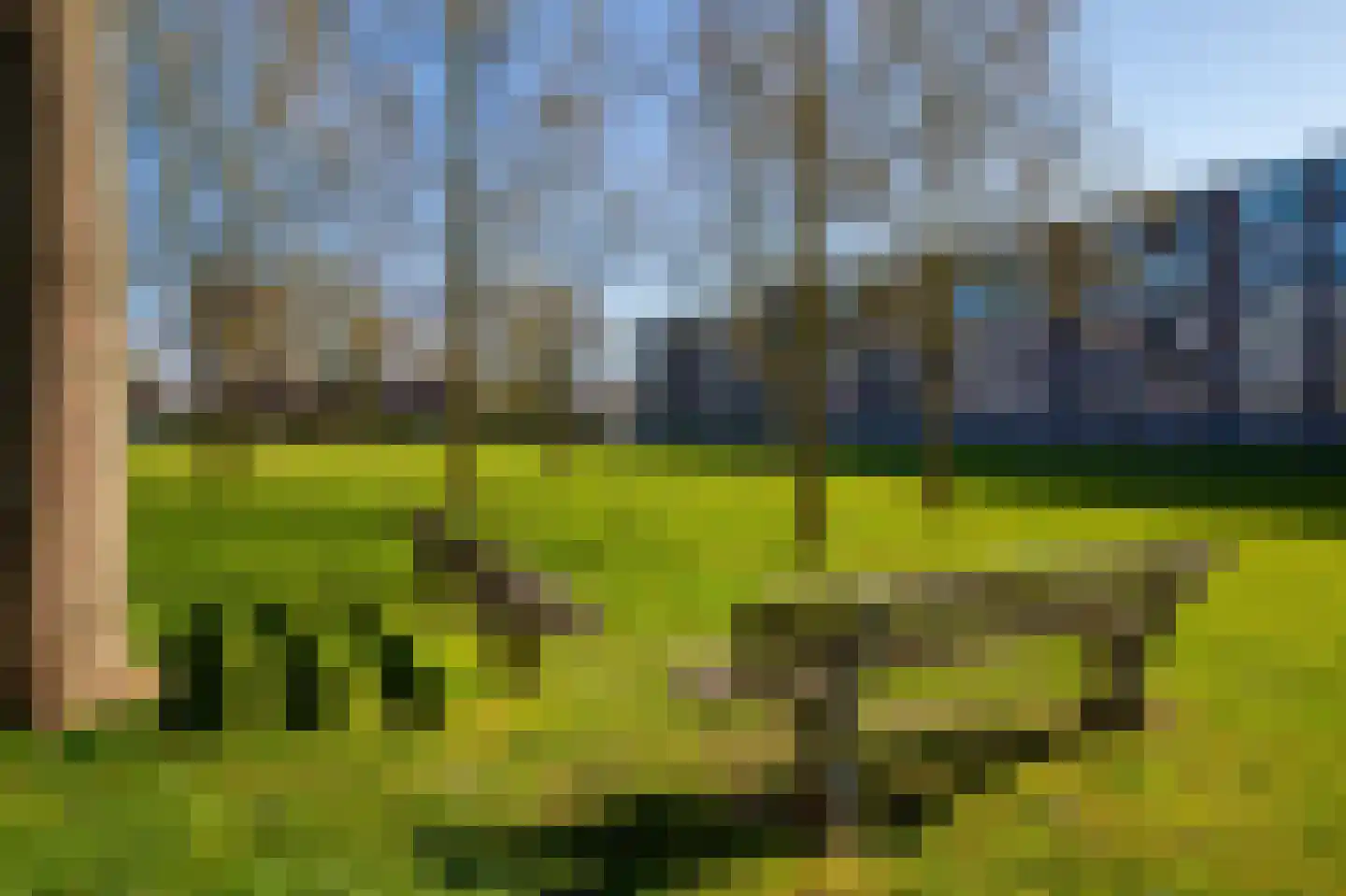 Dalenoord 103 Rotterdam thumbnail 14
