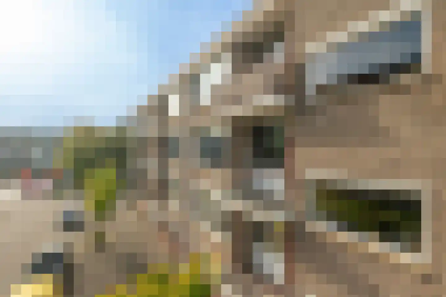 Dalenoord 105 Rotterdam thumbnail 14