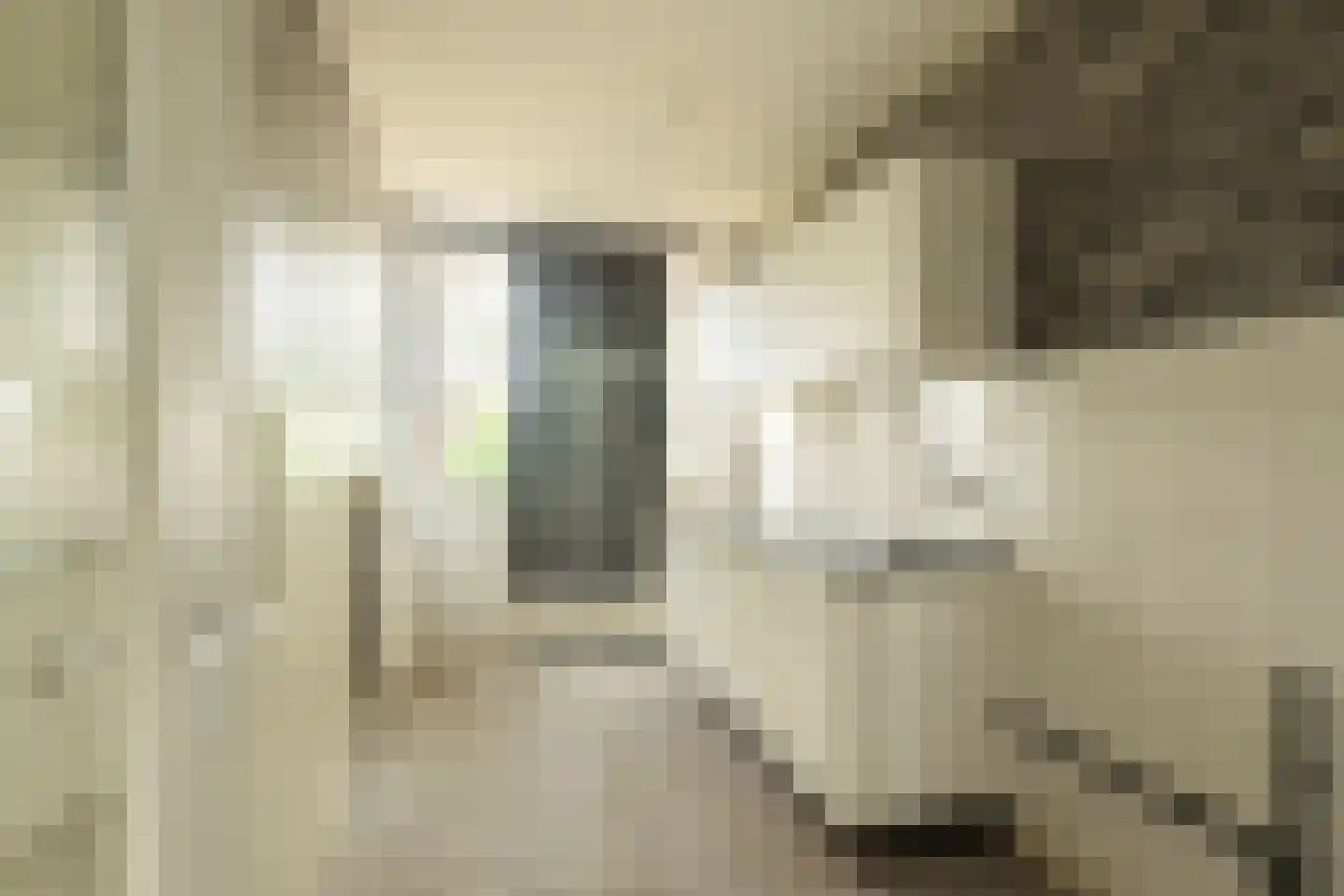 Dalenoord 105 Rotterdam thumbnail 6