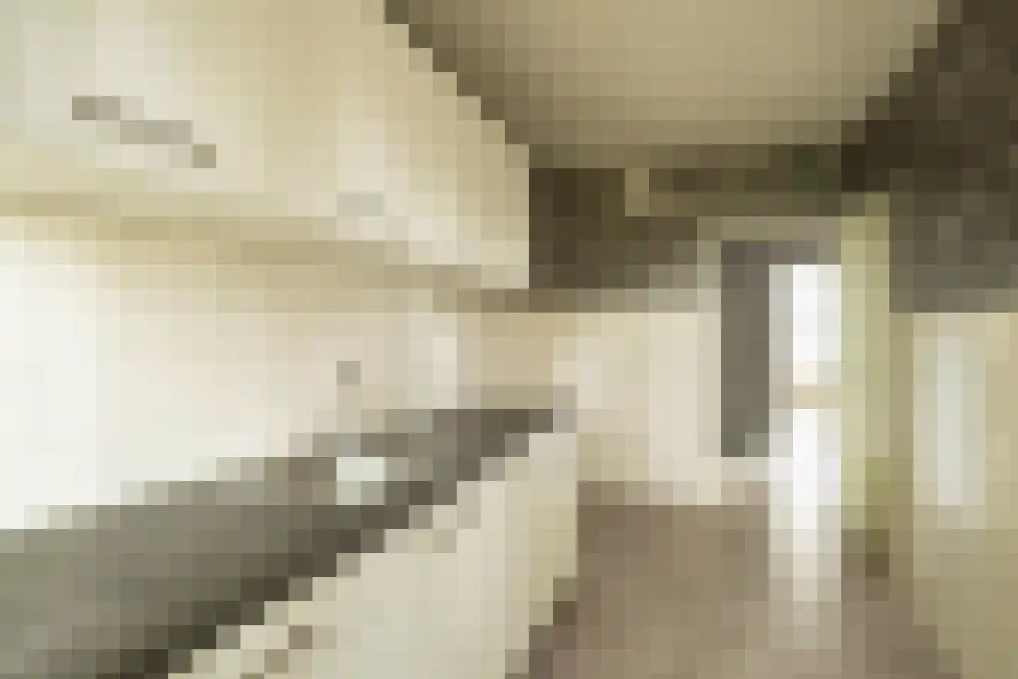 Dalenoord 105 Rotterdam thumbnail 7