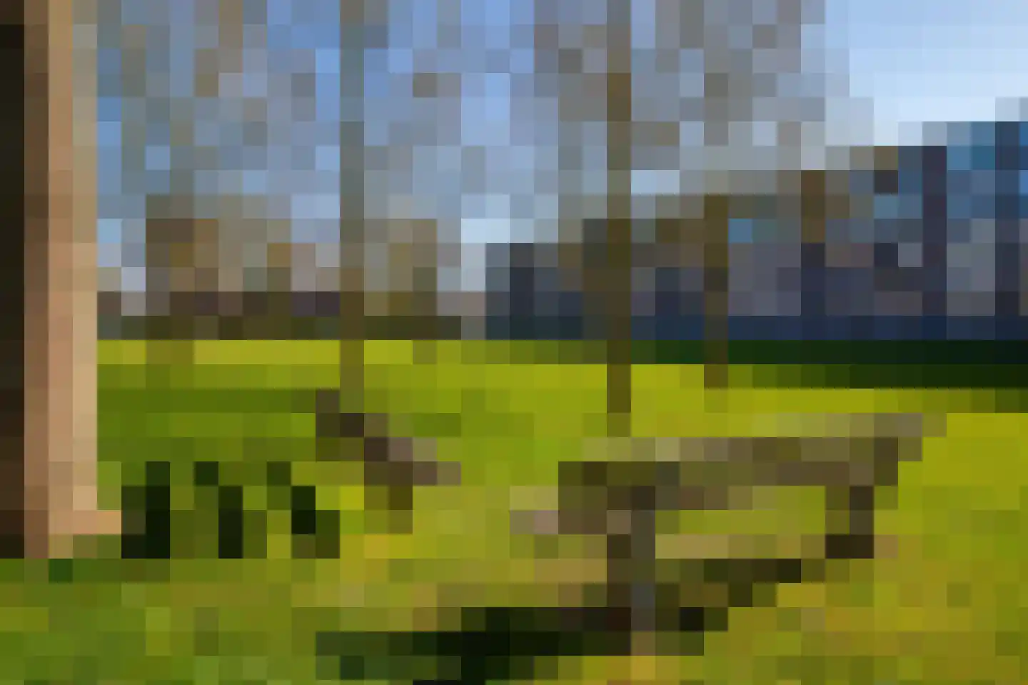 Dalenoord 109 Rotterdam thumbnail 11