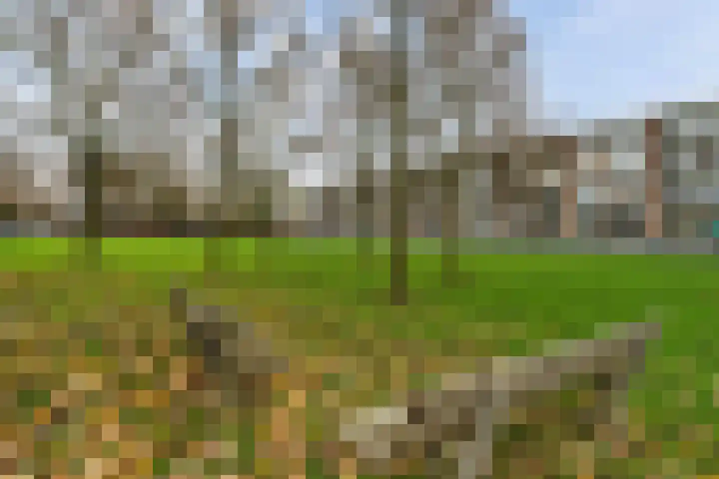 Dalenoord 113 Rotterdam thumbnail 11
