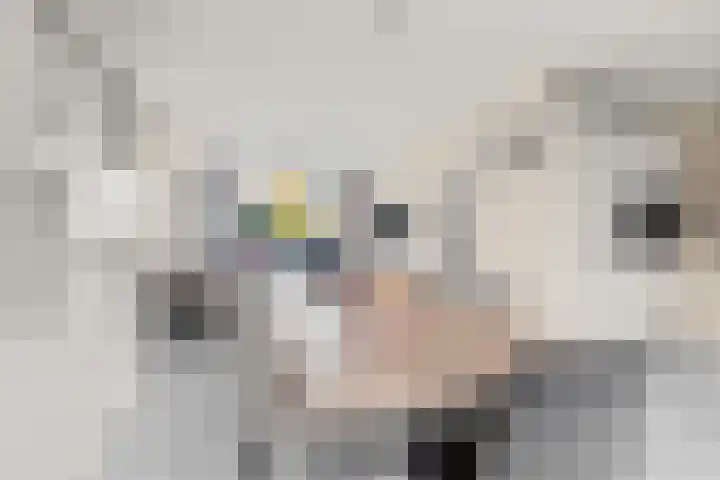Dalenoord 31 Rotterdam thumbnail 12
