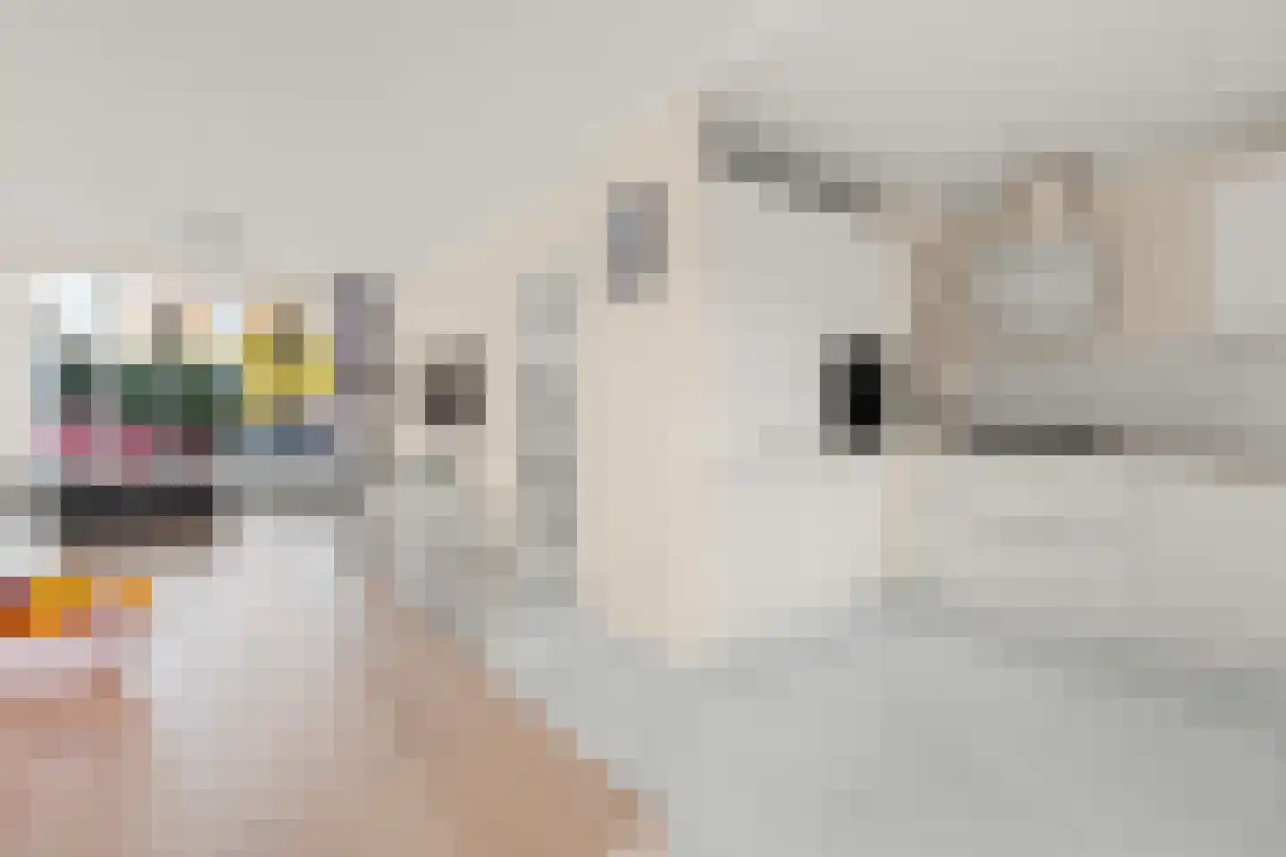 Dalenoord 31 Rotterdam thumbnail 13